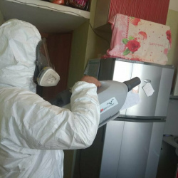 Уничтожение насекомых в квартире. Инкерман